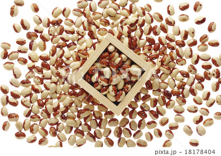 とら豆 とら豆 18178404