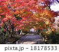 京都　毘沙門堂　紅葉 18178533