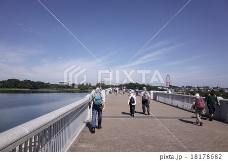 多摩湖 多摩湖 18178682