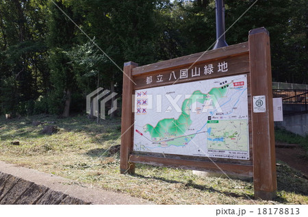 八国山緑地 18178813