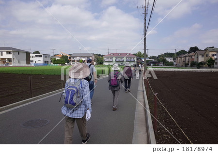 ウォーキング 18178974