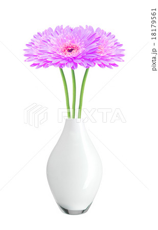 beautiful purple gerbera daisy flowers in vase beautiful purple gerbera daisy flowers in vase 18179561