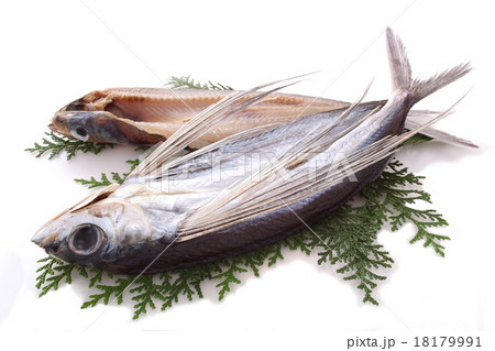 干物 飛び魚 干物 飛び魚 18179991