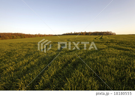 agriculture   18180555