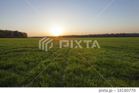 agriculture agriculture 18180770