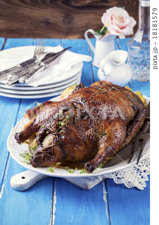 Stuffed Christmas Duck 18181579