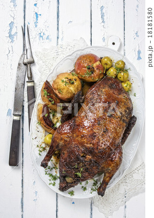 Stuffed Christmas Duck 18181580