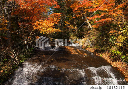 滝の紅葉 18182116