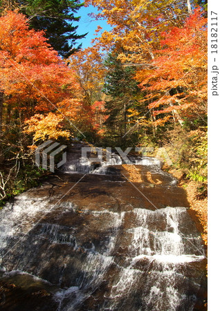 滝の紅葉 滝の紅葉 18182117