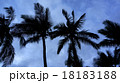 HAWAII066 18183188