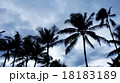 HAWAII067 18183189