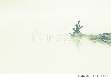 Foggy Lake 18183387