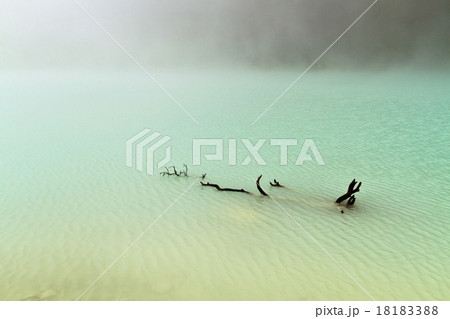 Driftwood in Foggy Lake Driftwood in Foggy Lake 18183388