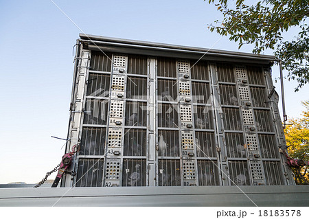 ハトの運搬ゲージ 18183578