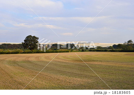 相模川河川敷の野球グランドと圏央道 相模川河川敷の野球グランドと圏央道 18183605