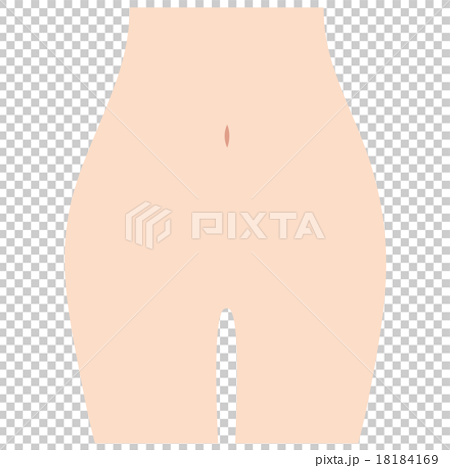 女性の下腹部 Vラインのイラスト素材 18184169 Pixta