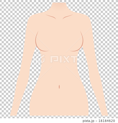 Female upper body - Stock Illustration [43334020] - PIXTA