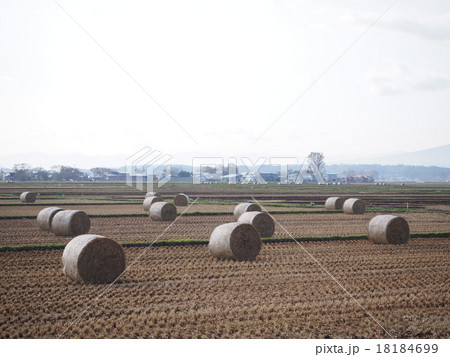稲刈り後の水田 18184699