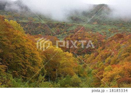 紅葉の鬼面山 18185334