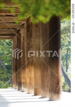 世界遺産唐招提寺金堂の列柱 18186368