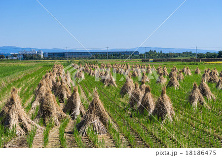 積みわら 積みわら 18186475