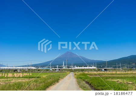 田園風景と富士山 田園風景と富士山 18186477