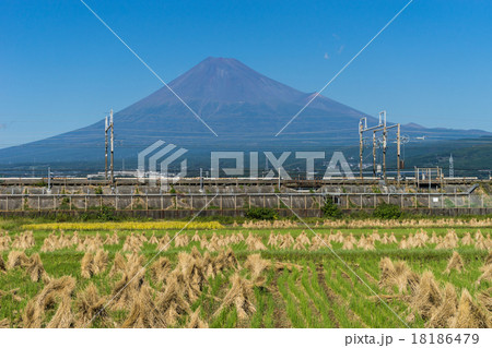 田園風景と富士山 田園風景と富士山 18186479