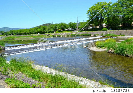 京都　賀茂川の風景 18187788