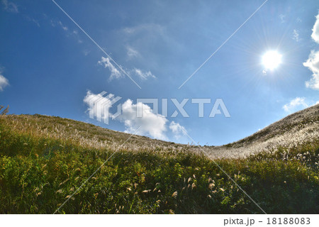 塩塚高原のススキ4 (徳島県三好市山城町側) 塩塚高原のススキ4 (徳島県三好市山城町側) 18188083
