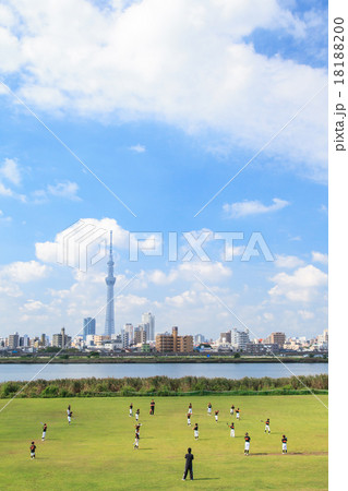 荒川河川敷から木根川橋球技場と東京スカイツリーを望む 18188200