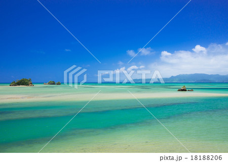 沖縄の海 18188206