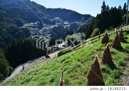 落合集落　（徳島県三好市東祖谷落合・コエグロ）8（国指定重要伝統的建造物群保存地区） 18188223