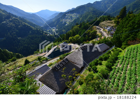 落合集落　（徳島県三好市東祖谷落合）9（国指定重要伝統的建造物群保存地区） 18188224