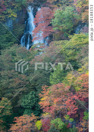 錦秋の霧降の滝 18188353