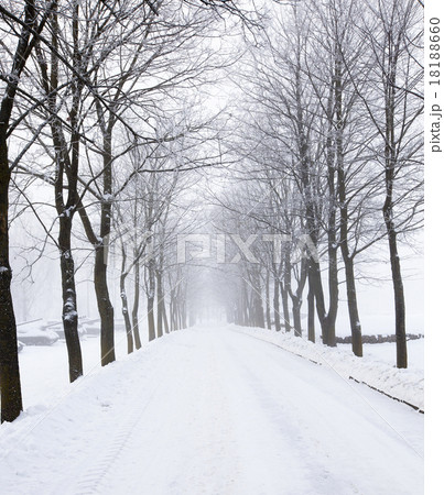 the winter road   18188660