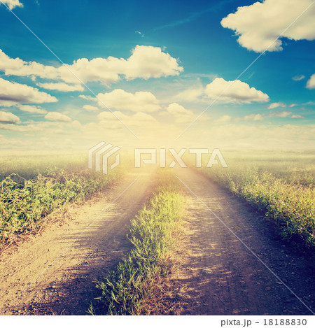 road and field vintage with sunlight 18188830