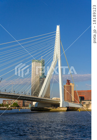 View of Erasmus Bridge in Rotterdam, Netherlands 18189123