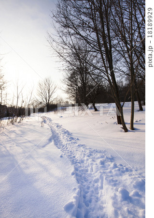 traces on snow   18189929