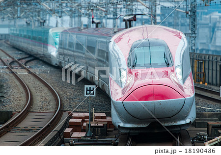 大宮駅に到着するはやぶさ・こまち 大宮駅に到着するはやぶさ・こまち 18190486
