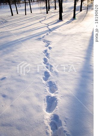 snow. Winter 18190620