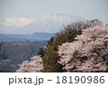 長野県　黒姫山と桜　（北信州の桜） 18190986
