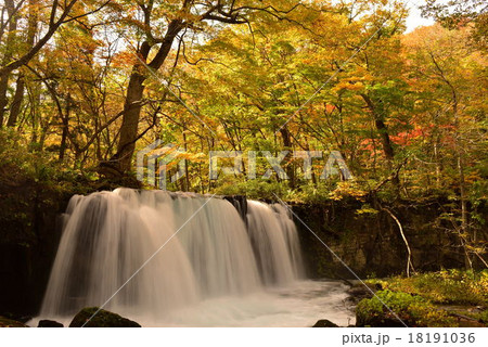 奥入瀬渓流銚子大滝 18191036