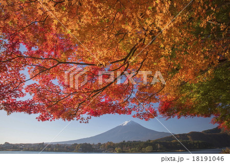 富士山と紅葉 富士山と紅葉 18191046