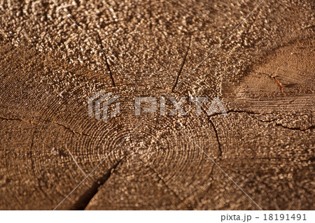 Cut of wooden log Cut of wooden log 18191491