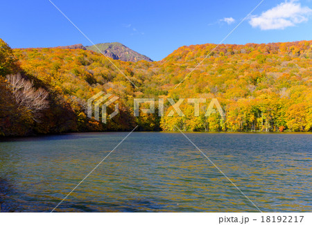 東北　蔦温泉の紅葉 18192217