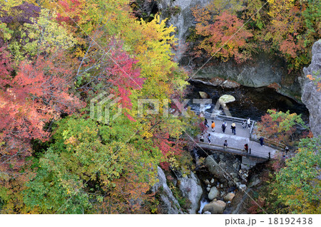 鳴子峡 18192438