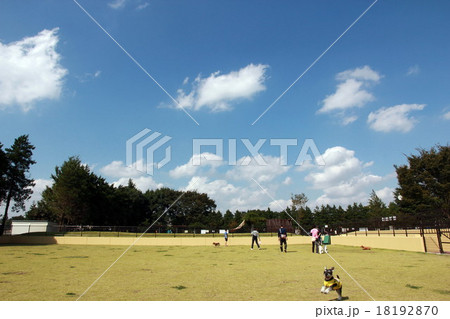 ドッグラン 18192870