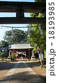 川越　三芳野神社 18193985