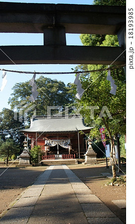 川越　三芳野神社 18193985