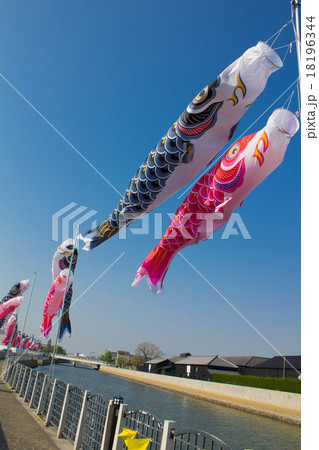 鯉のぼり：半田運河　 18196344